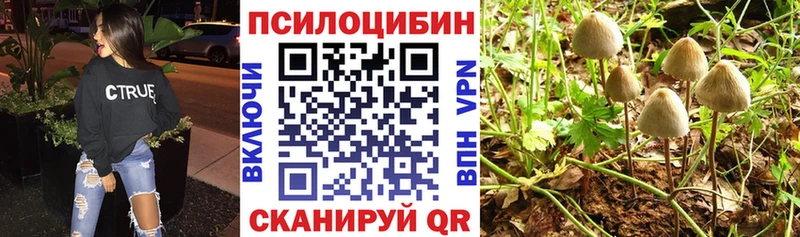 Купить закладки  Спасск-Дальний  Галлюциногенные грибы Psilocybine cubensis 